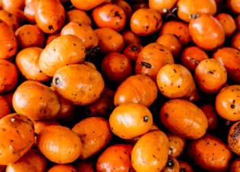siriguela fruta