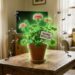 plantas repelentes