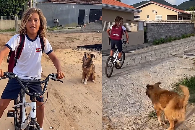 Menino em Florianópolis cuida de cão de rua que o segue mancando até a escola