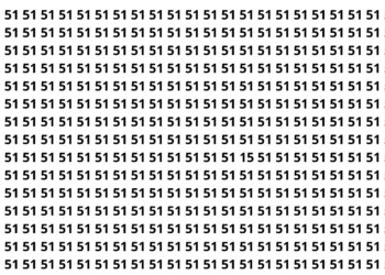 número 15