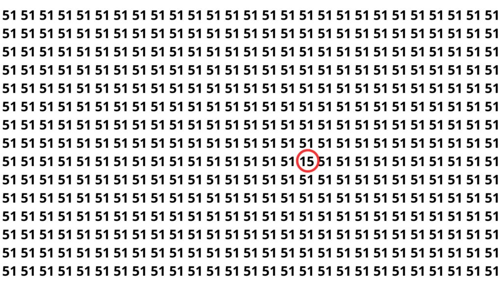 número 15