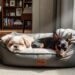 Cão shih-tzu cruza acidentalmente com pinscher e nascem filhotes da raça mais desejada do momento no Brasil