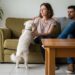 As 10 raças de cachorro mais ciumentas: apego, instinto de proteção e personalidade forte são características comuns desses pets