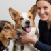 Qual é a idade real do seu cão? Saiba como calcular a idade dos animais de estimação e qual a expectativa de vida das raças mais queridas
