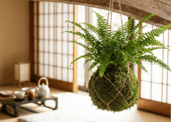 Montar um kokedama