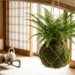 Montar um kokedama