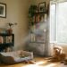 Como seu cachorro altera a qualidade do ar da sua casa, segundo este estudo