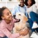 Como organizar o dia do cachorro para reduzir a agitação noturna