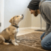 Como os cães interpretam palavras que você fala e as emoções humanas no dia a dia