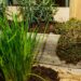 Horta em apartamento? Veja como cultivar cebolinha verdinha mesmo em espaços pequenos e com pouco sol