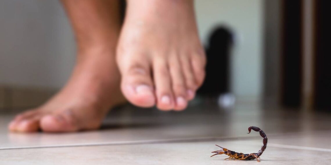 escorpião