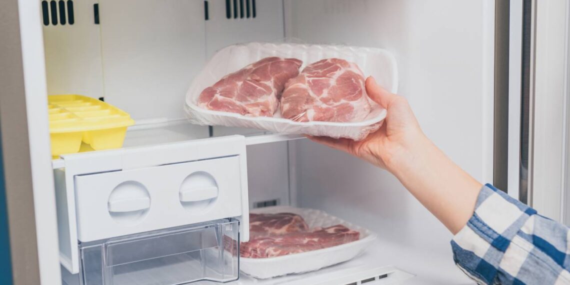 Comida estragando na geladeira? Veja como o freezer bem organizado pode salvar sua semana