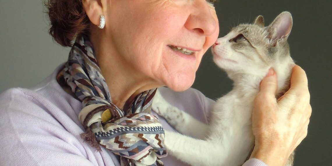 gatos