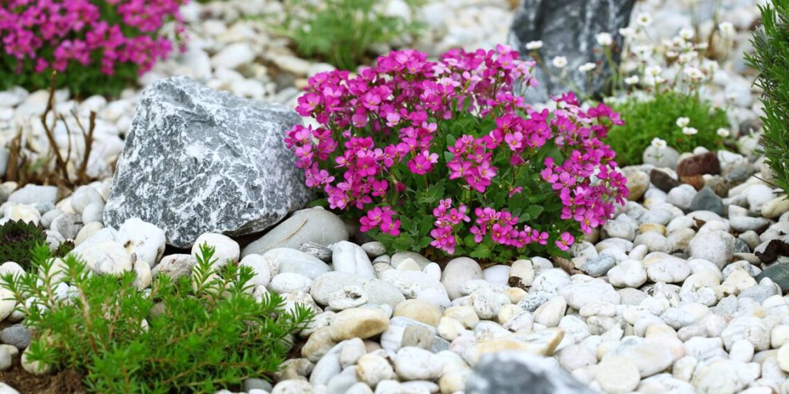 pedras decorativas