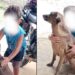 Menino emociona ao abraçar cachorrinha e chamar de “meu amor”
