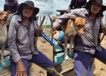 Cachorro abandonado é resgatado e vira parceiro fiel nas tarefas diárias do campo