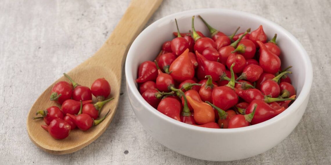 pimenta biquinho