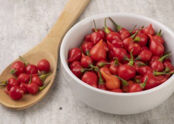 pimenta biquinho