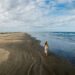 A praia brasileira que é a maior do mundo e cria um horizonte impossível de medir