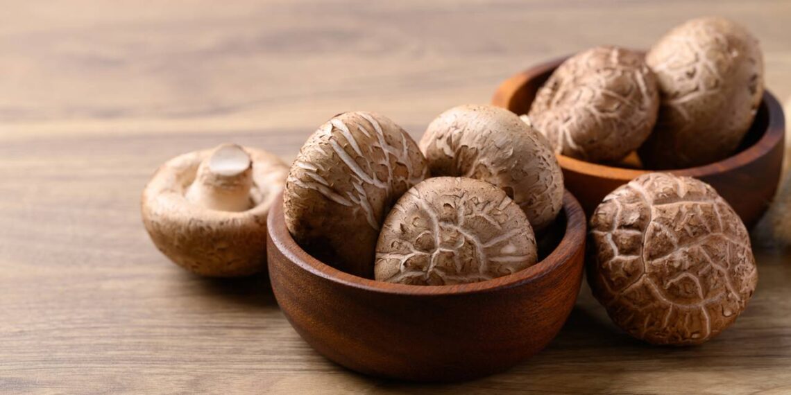 shitake