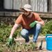 Sol, sombra ou meia-sombra? Acerte no lugar ideal para sua planta