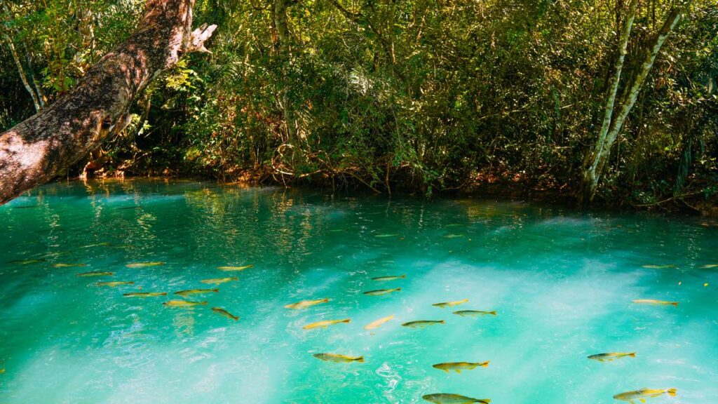 O paraíso eleito 18 vezes o melhor destino do Brasil com rios de águas transparentes a 40 metros de profundidade