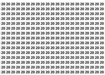 puzzle viral