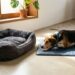 Cuidado antes de comprar uma caminha para seu cachorro, siga essas dicas simples para o bem-estar dele