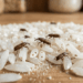 Caruncho no pote de arroz: o truque da folha de louro para se livrar dos bichinhos pretos de vez