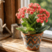 Nem rosa, nem orquídea: essa é a flor ideal para plantar em vaso pequeno