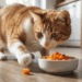 gato comendo cenoura