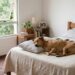 O que significa dormir com o cachorro na mesma cama, segundo especialistas