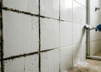 Passar água sanitária no rejunte do banheiro: quando usar e como evitar mofo preto que volta mesmo após a limpeza