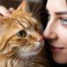 Como o mundo se apresenta aos olhos de um gato? Uma comparação com a visão humana através de imagens