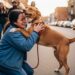 Cachorro desaparecido por dias é encontrado em local improvável e surpreende equipe de resgate