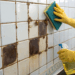 Azulejos engordurados na cozinha? Mistura simples com vinagre pode resolver e tirar toda sujeira