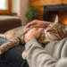Gatos que “conversam” ao chegar em casa podem estar pedindo mais do que atenção