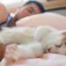 O que significa quando seu gato prefere se deitar em você e não em outros cantos da casa