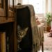 O que significa quando o gato se esconde quando chega visita em casa