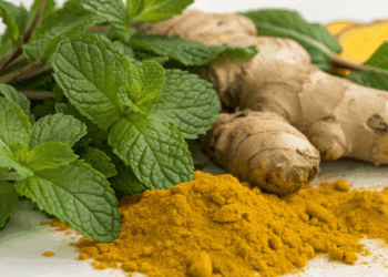 Antes de comprar analgésicos : estas três plantas ajudam a aliviar dor de forma natural