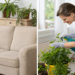 Para proteger suas plantas e móveis, saiba como aplicar esta misturinha caseira contra pragas em casa