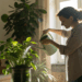 Não tem tempo de cuidar mas ama plantas? Estas 5 espécies são perfeitas para você