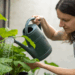 Erro comum que muitos cometem ao regar as plantas que pode apodrecer as raízes silenciosamente