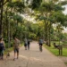 A cidade eleita como a 2ª melhor para se viver no interior: com 15 km de parque e uma locomotiva de Dom Pedro II