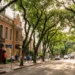A Pequena Londres do Paraná tem 96,8% das ruas têm árvores e lidera rankings e surpreende visitantes