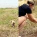 Filhotinha abandonada sem conseguir andar emociona ao se arrastar para sobreviver