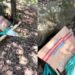 Pescador encontra caixa se mexendo perto da represa e descobre quatro filhotes abandonados