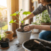 Como plantar abobrinha em casa e colher em poucas semanas sem precisar de quintal
