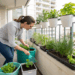 Como plantar temperos em casa mesmo sem quintal e colher folhas frescas o ano todo