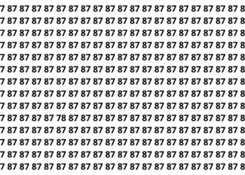 puzzle visual